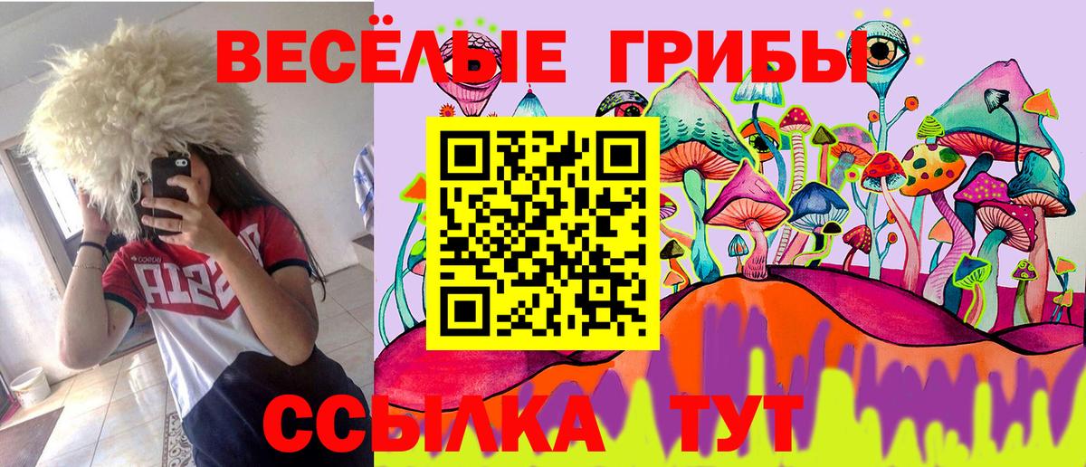 Галлюциногенные грибы Cubensis Сальск