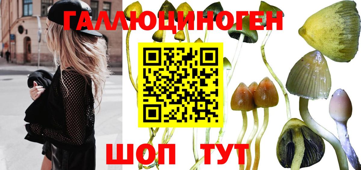 хочу наркоту  Псилоцибиновые грибы мухоморы  Галлюциногенные грибы Psilocybe  Вход с VPN  Сальск 