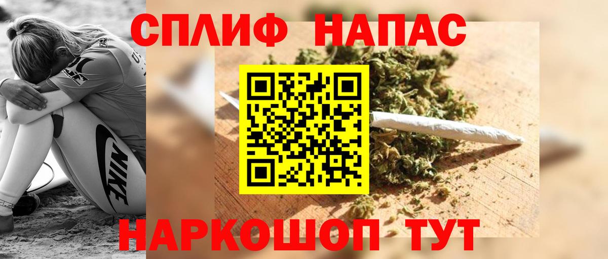 Конопля марихуана Сальск